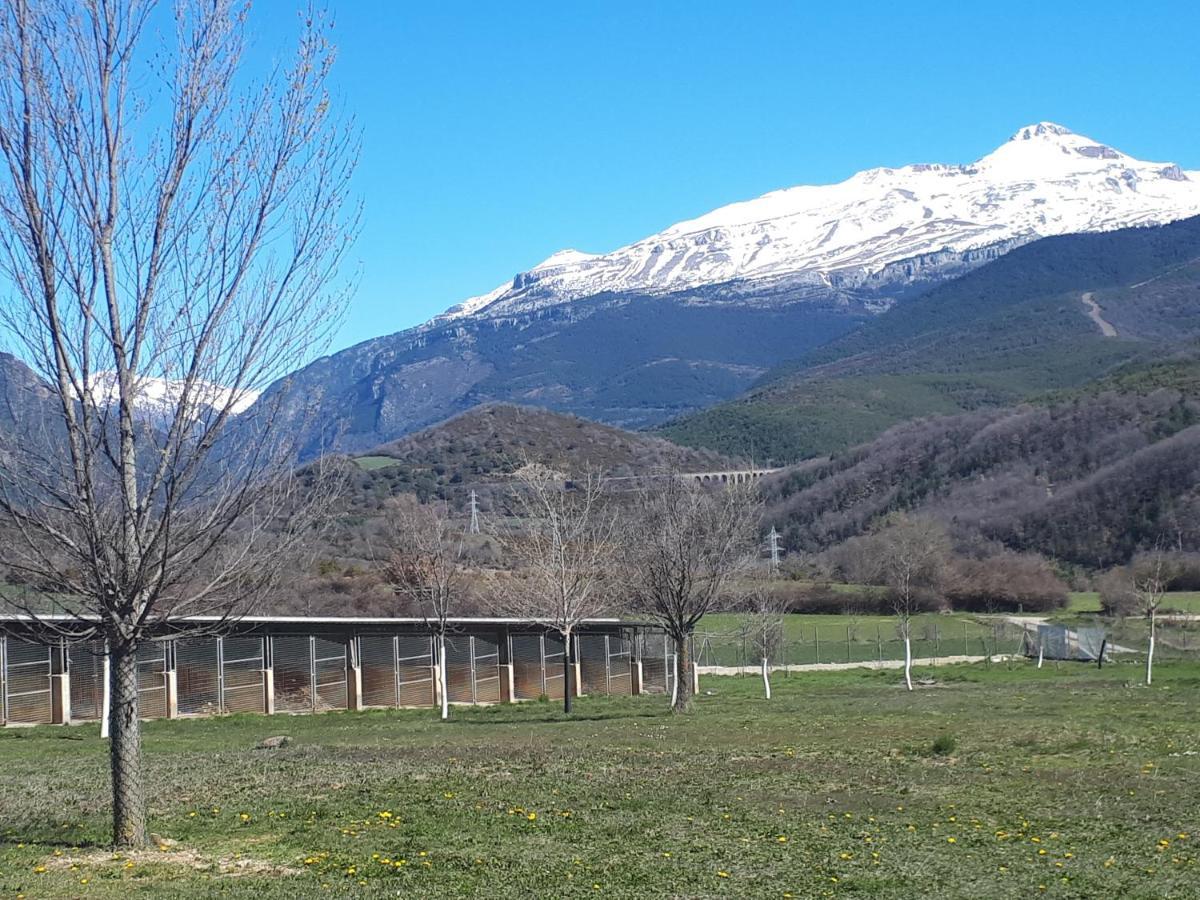 Albergue A'Noguera Castiello de Jaca Exterior foto